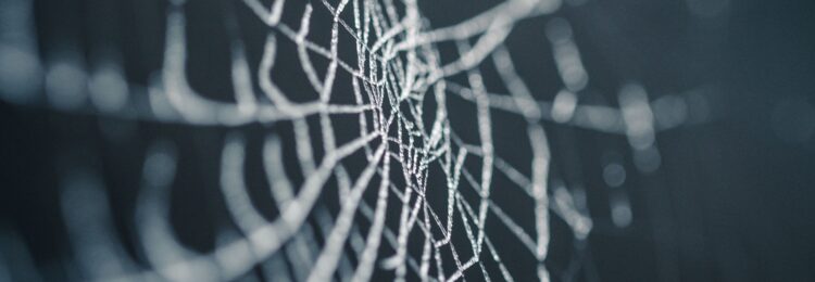 How to Optimize Your Crawl Budget?