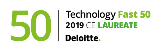 deloitte technology fast 2019 nagroda badge