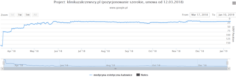 Case study SEO - results