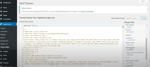 meta tags in wordpress theme header