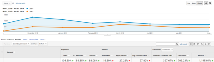 SEO results netcube