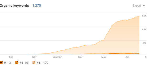 visibility with seo for french market