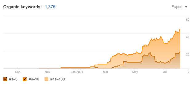 seo in france visibility boost