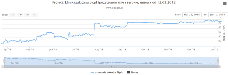 SEO Case study - results