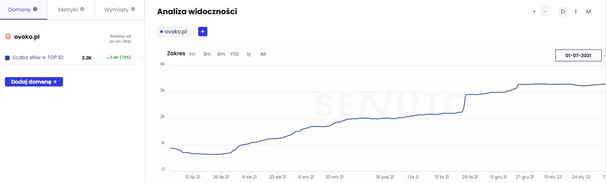 website visibility increases seo case study ovoko