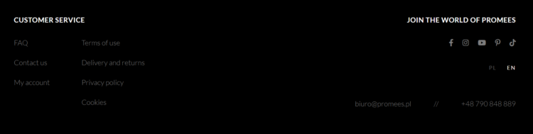 social media handles in footer